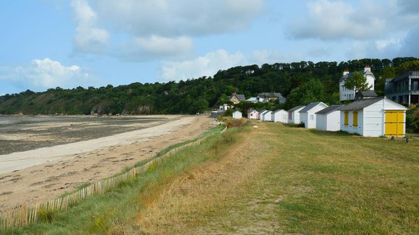 Discover London's Hidden Street Food Gems: Your Ultimate Guide to Affordable Culinary Delights